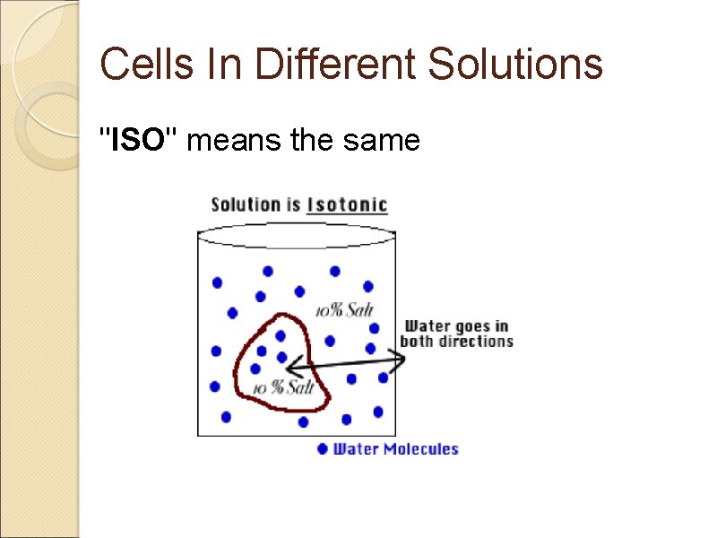 Cells In Different Solutions "ISO" means the same 