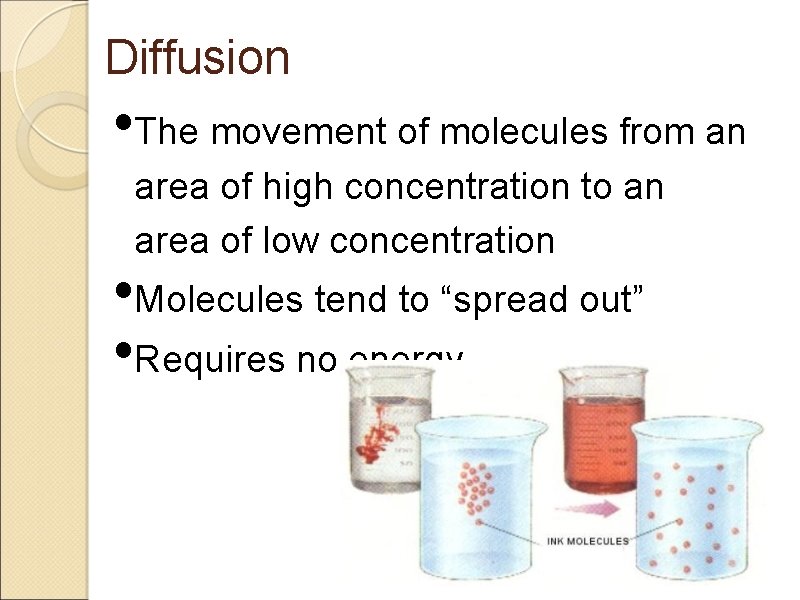 Diffusion • The movement of molecules from an area of high concentration to an