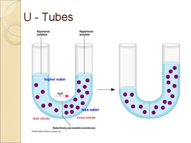 U - Tubes 