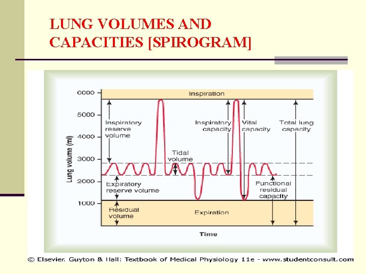 LUNG VOLUMES AND CAPACITIES [SPIROGRAM] 