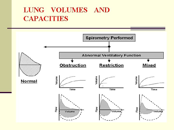 LUNG VOLUMES AND CAPACITIES 