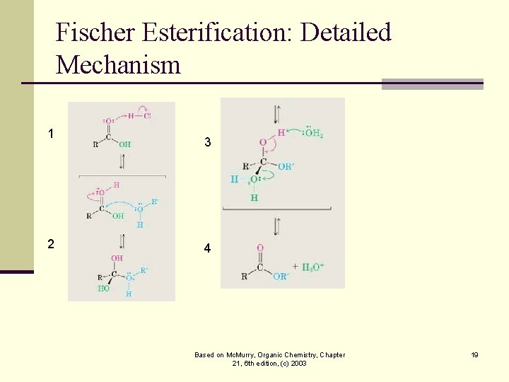 Fischer Esterification: Detailed Mechanism 1 2 3 4 Based on Mc. Murry, Organic Chemistry,