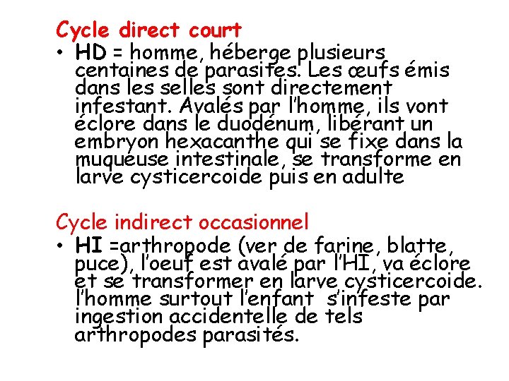 Cycle direct court • HD = homme, héberge plusieurs centaines de parasites. Les œufs