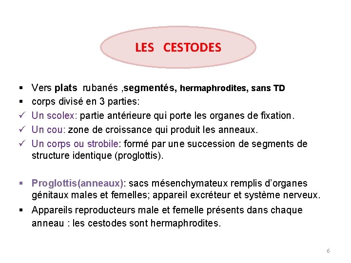 LES CESTODES § § ü ü ü Vers plats rubanés , segmentés, hermaphrodites, sans