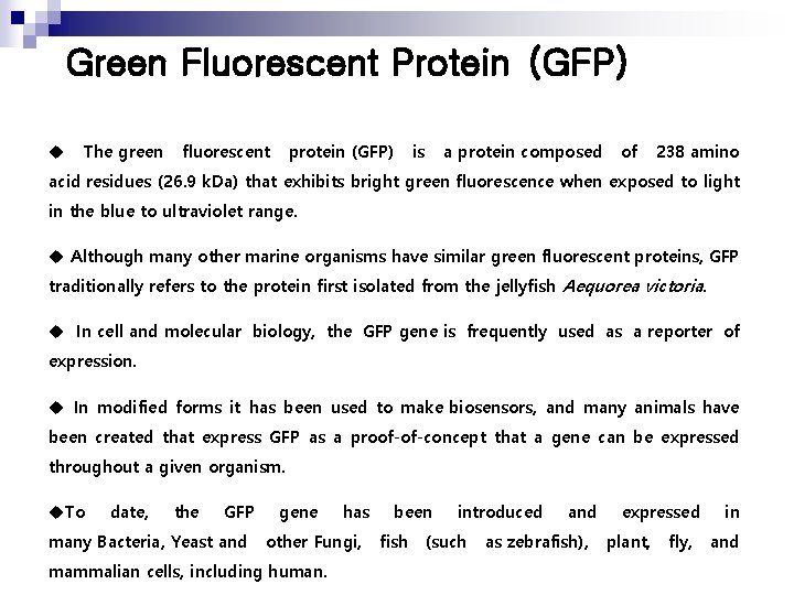  Green Fluorescent Protein (GFP) u The green fluorescent protein (GFP) is a protein