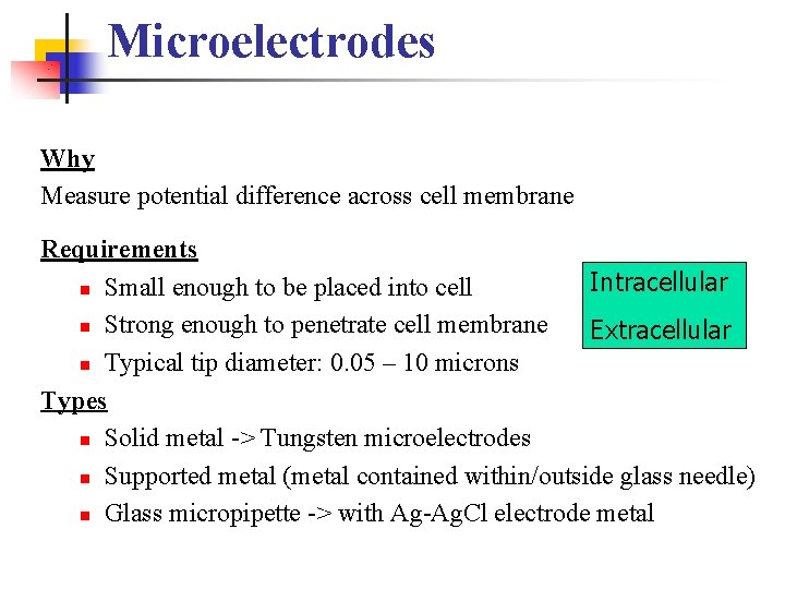 Microelectrodes Why Measure potential difference across cell membrane Requirements Intracellular n Small enough to