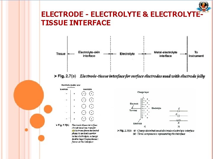 ELECTRODE - ELECTROLYTE & ELECTROLYTETISSUE INTERFACE 