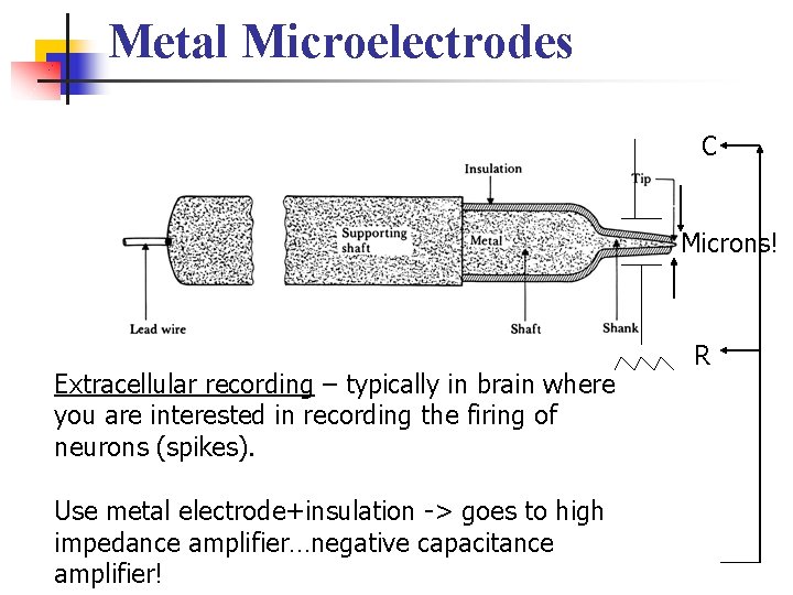 Metal Microelectrodes C Microns! Extracellular recording – typically in brain where you are interested