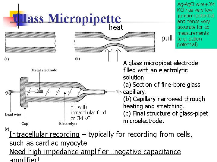 Glass Micropipette heat pull Fill with intracellular fluid or 3 M KCl Ag-Ag. Cl