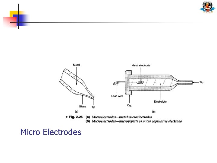 Micro Electrodes 