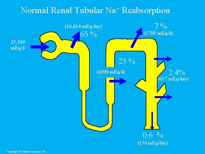 Normal Renal Tubular Na+ Reabsorption 7% (16, 614 m. Eq/day) 65 % (1789 m.