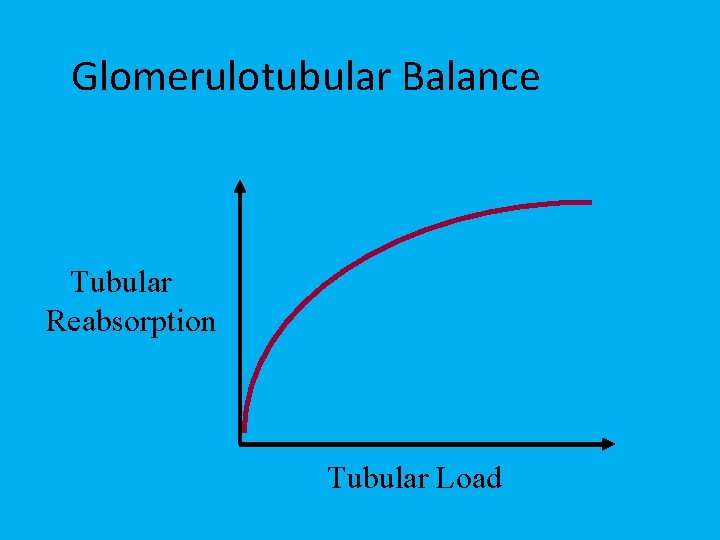 Glomerulotubular Balance Tubular Reabsorption Tubular Load 