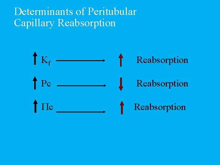 Determinants of Peritubular Capillary Reabsorption Kf Reabsorption Pc Reabsorption 