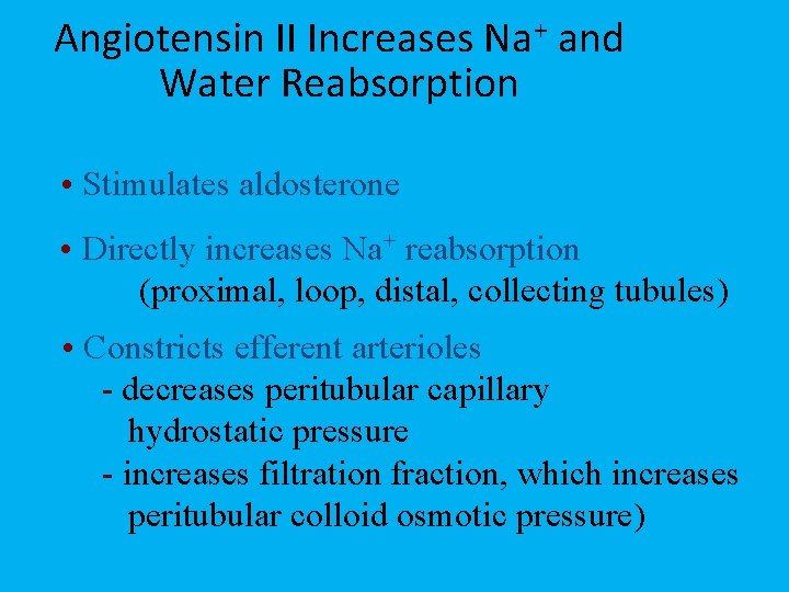 Angiotensin II Increases Na+ and Water Reabsorption • Stimulates aldosterone • Directly increases Na+