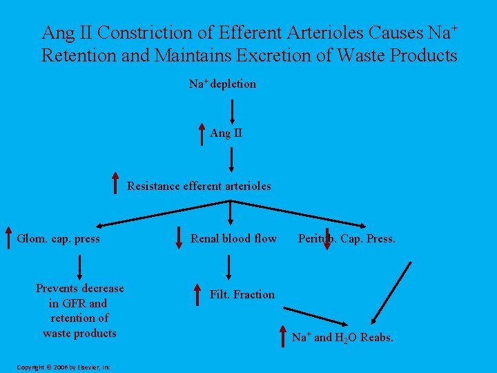 Ang II Constriction of Efferent Arterioles Causes Na+ Retention and Maintains Excretion of Waste