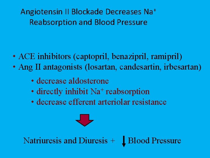 Angiotensin II Blockade Decreases Na+ Reabsorption and Blood Pressure • ACE inhibitors (captopril, benazipril,