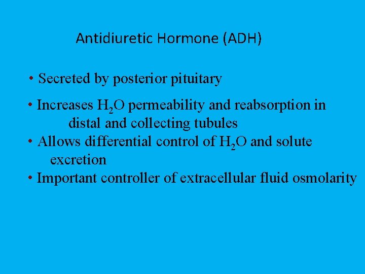 Antidiuretic Hormone (ADH) • Secreted by posterior pituitary • Increases H 2 O permeability