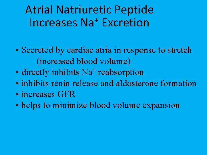 Atrial Natriuretic Peptide + Increases Na Excretion • Secreted by cardiac atria in response