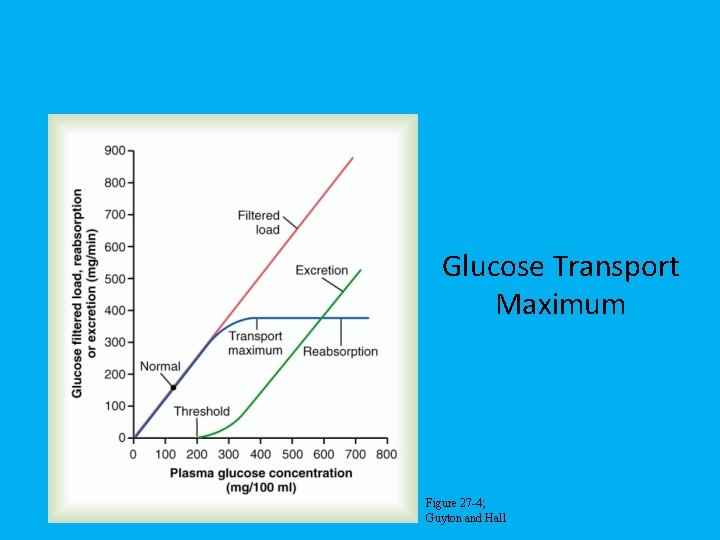 Glucose Transport Maximum Figure 27 -4; Guyton and Hall 