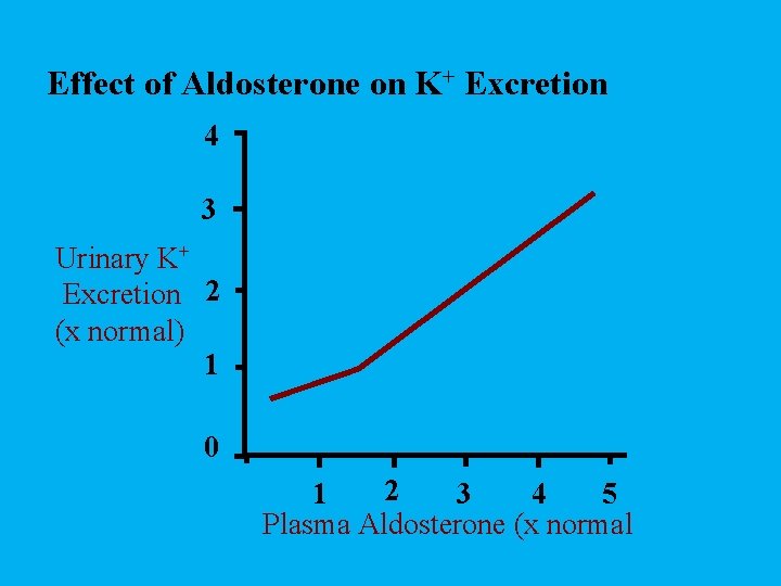 Effect of Aldosterone on K+ Excretion 4 3 Urinary K+ Excretion 2 (x normal)