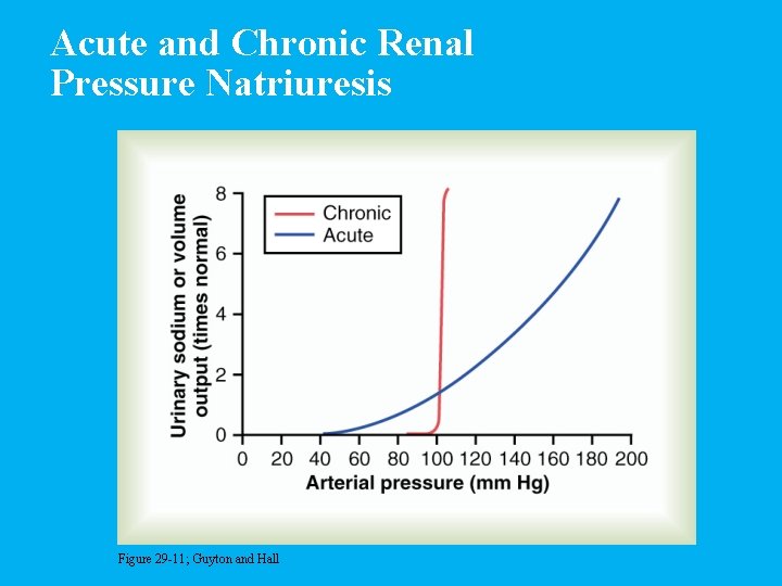 Acute and Chronic Renal Pressure Natriuresis Figure 29 -11; Guyton and Hall 
