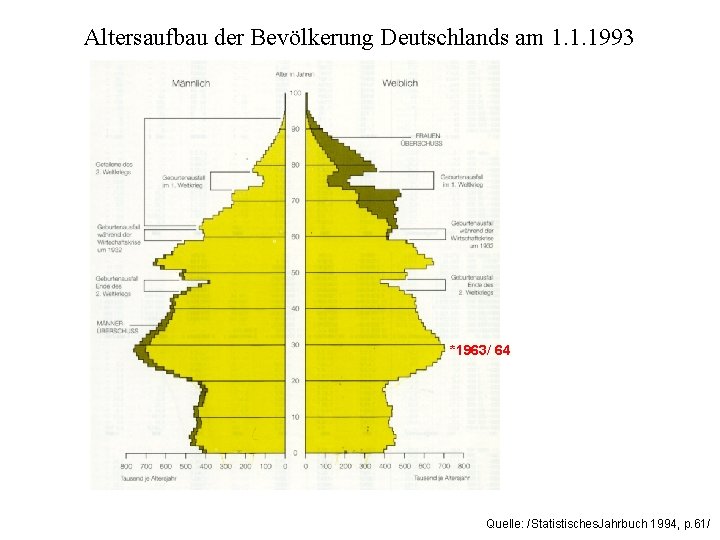 Altersaufbau der Bevölkerung Deutschlands am 1. 1. 1993 *1963/ 64 Quelle: /Statistisches. Jahrbuch 1994,