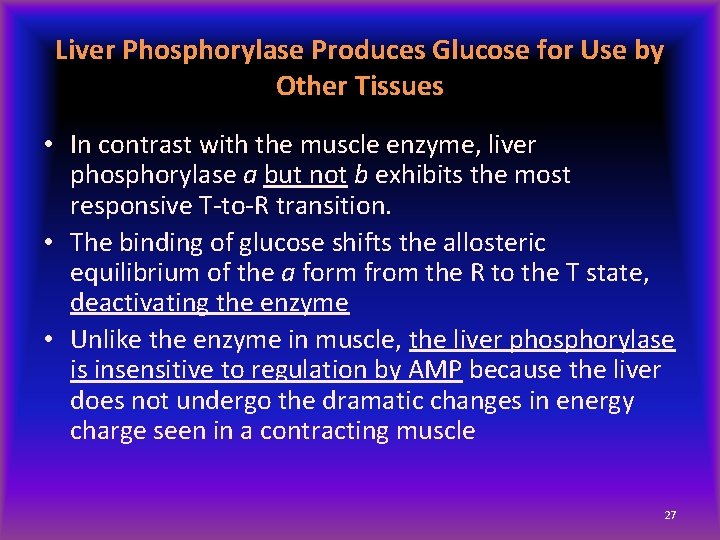 Liver Phosphorylase Produces Glucose for Use by Other Tissues • In contrast with the