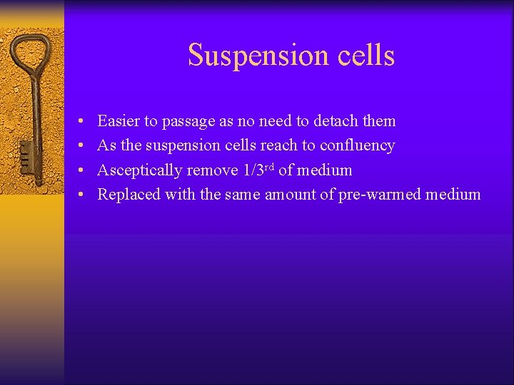 Suspension cells • • Easier to passage as no need to detach them As