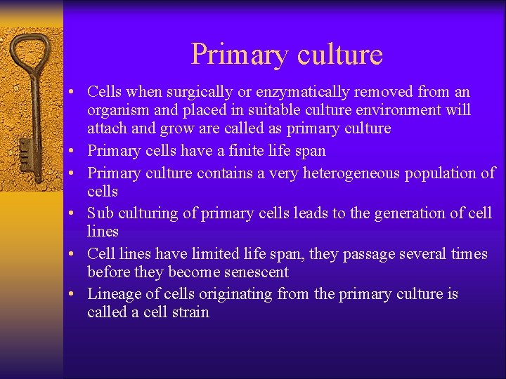 Primary culture • Cells when surgically or enzymatically removed from an organism and placed