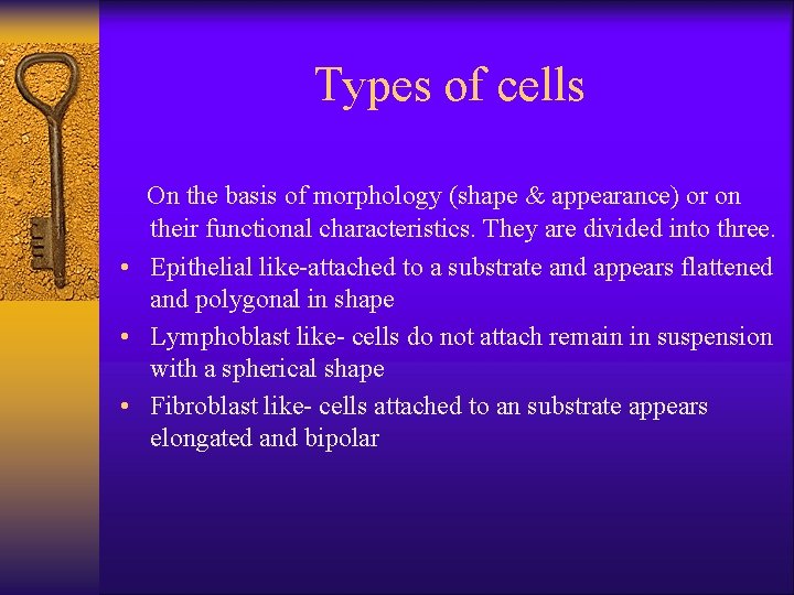 Types of cells On the basis of morphology (shape & appearance) or on their