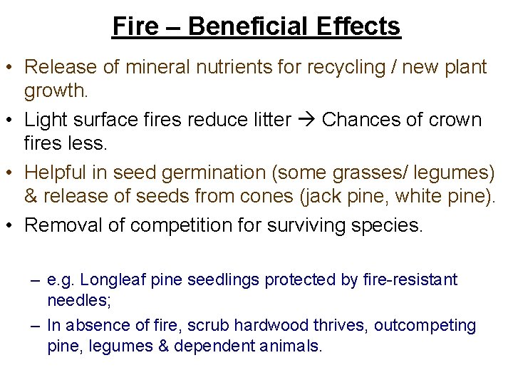 Fire – Beneficial Effects • Release of mineral nutrients for recycling / new plant