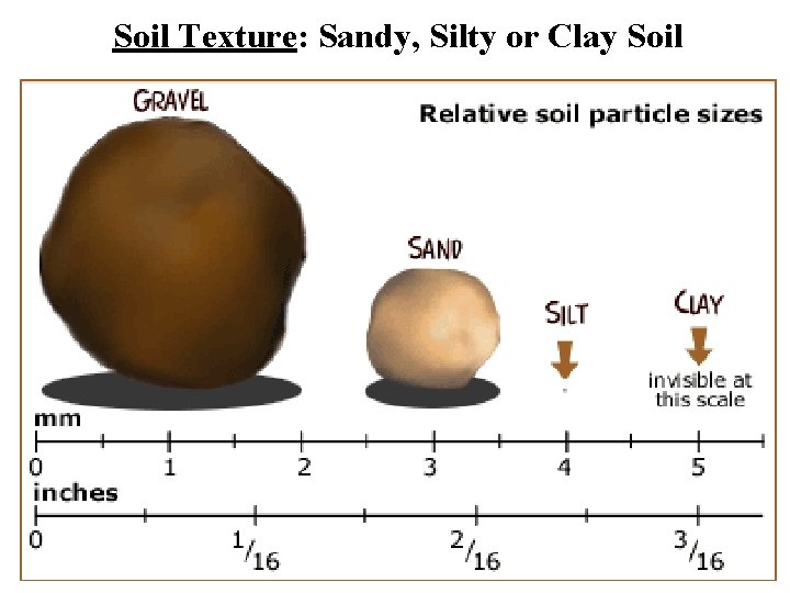 Soil Texture: Sandy, Silty or Clay Soil 