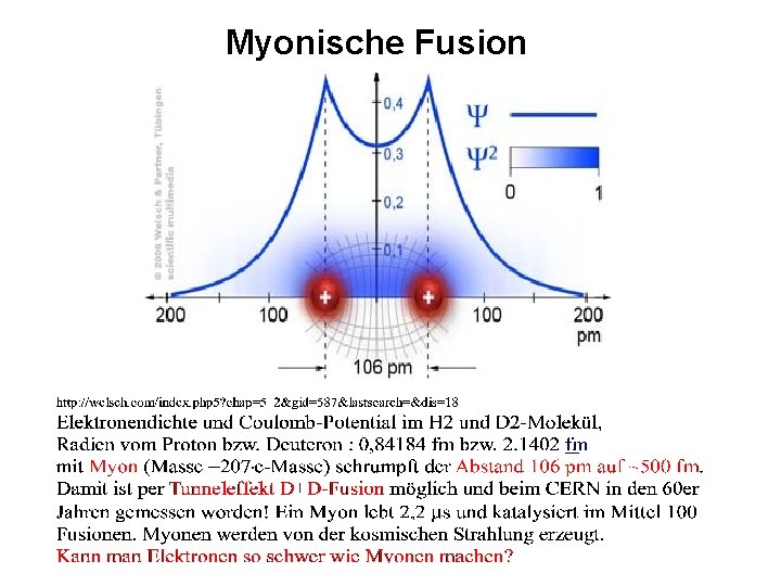 Myonische Fusion 