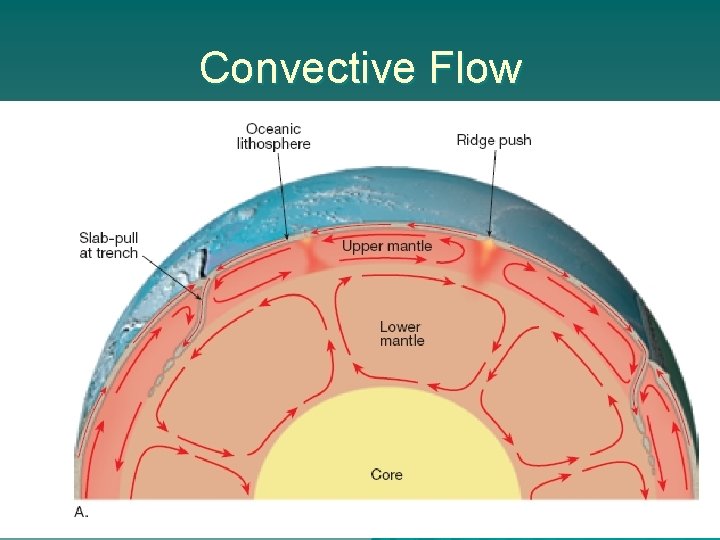 Convective Flow 
