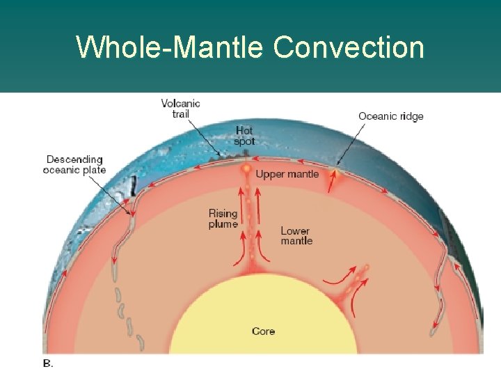 Whole-Mantle Convection 