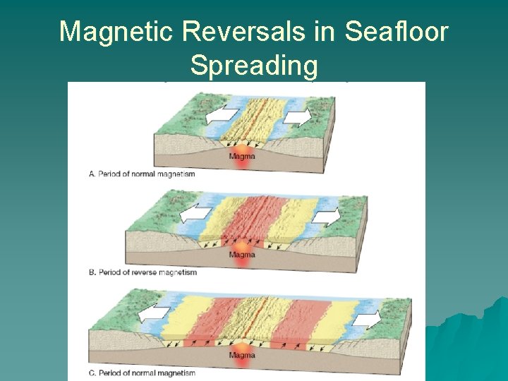 Magnetic Reversals in Seafloor Spreading 