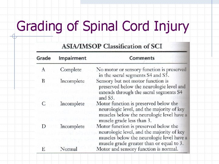 Grading of Spinal Cord Injury 