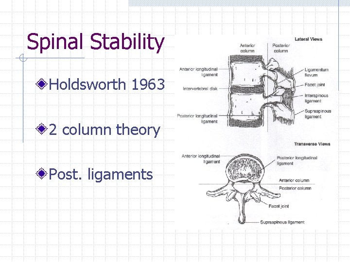 Spinal Stability Holdsworth 1963 2 column theory Post. ligaments 