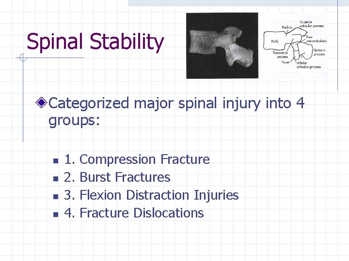 Spinal Stability Categorized major spinal injury into 4 groups: n n 1. 2. 3.