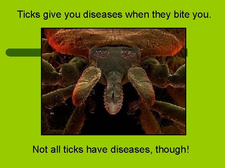 Ticks give you diseases when they bite you. Not all ticks have diseases, though!