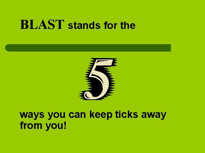 BLAST stands for the ways you can keep ticks away from you! 