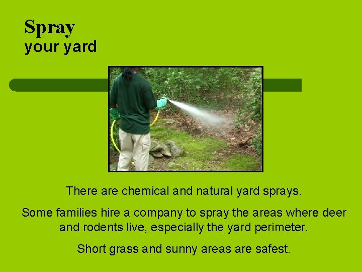 Spray your yard There are chemical and natural yard sprays. Some families hire a