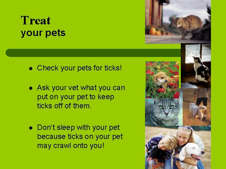 Treat your pets l Check your pets for ticks! l Ask your vet what