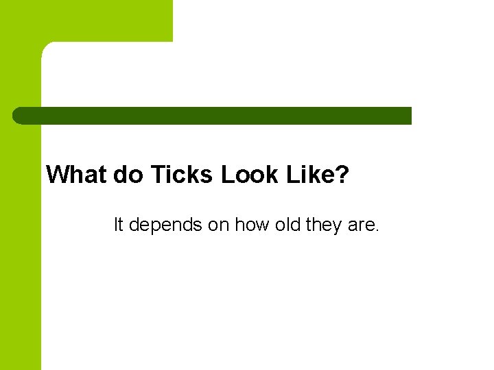 What do Ticks Look Like? It depends on how old they are. 