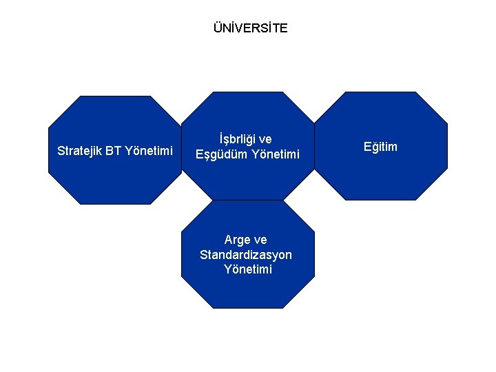 ÜNİVERSİTE Stratejik BT Yönetimi İşbrliği ve Eşgüdüm Yönetimi Arge ve Standardizasyon Yönetimi Eğitim 