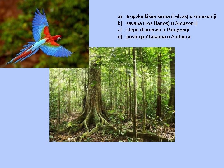 a) b) c) d) tropska kišna šuma (Selvas) u Amazoniji savana (Los Llanos) u