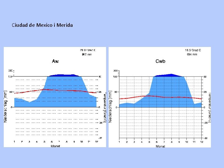 Ciudad de Mexico i Merida 