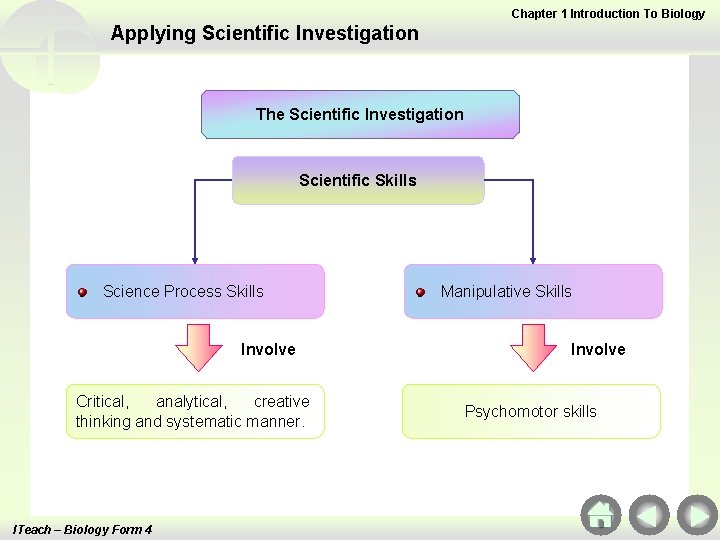 Chapter 1 Introduction To Biology Applying Scientific Investigation The Scientific Investigation Scientific Skills Science
