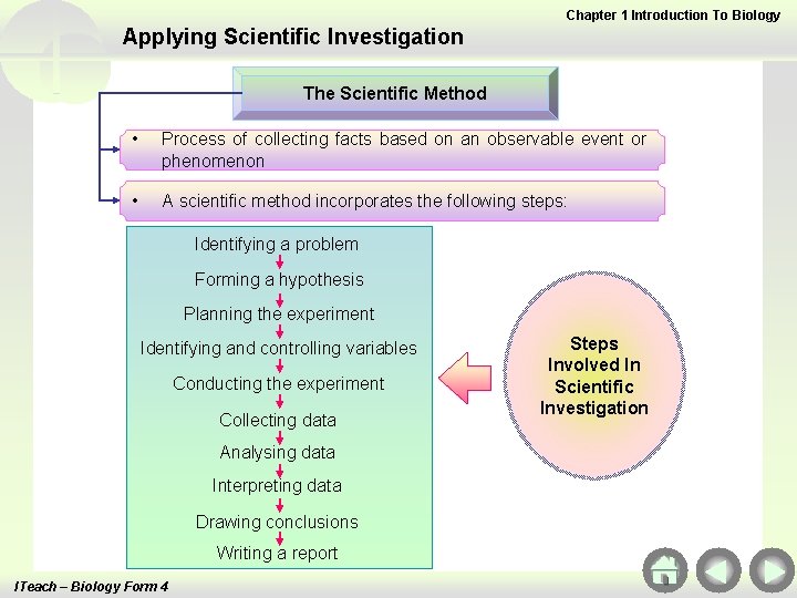 Chapter 1 Introduction To Biology Applying Scientific Investigation The Scientific Method • Process of