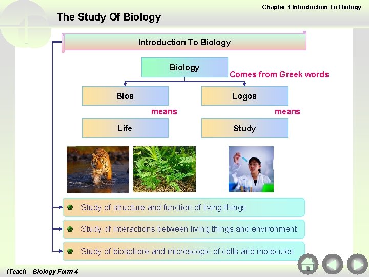 Chapter 1 Introduction To Biology The Study Of Biology Introduction To Biology Bios Comes